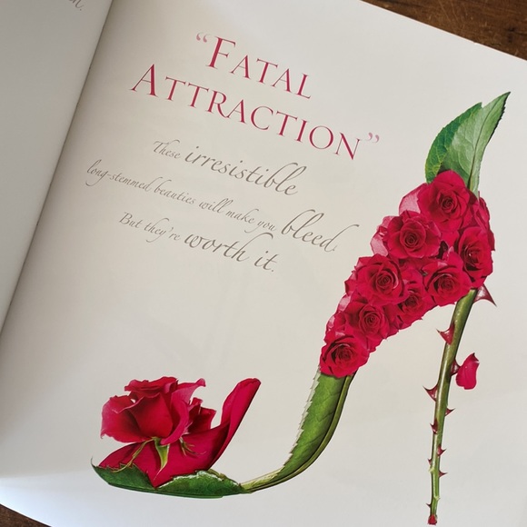 Shoe Fleur a Footwear Fantasy Book by Michel Tcherebkoff - Picture 8 of 16